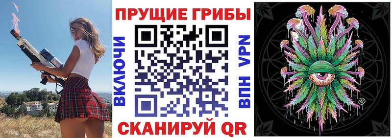 что такое наркотик Муравленко Псилоцибиновые грибы Magic Shrooms
